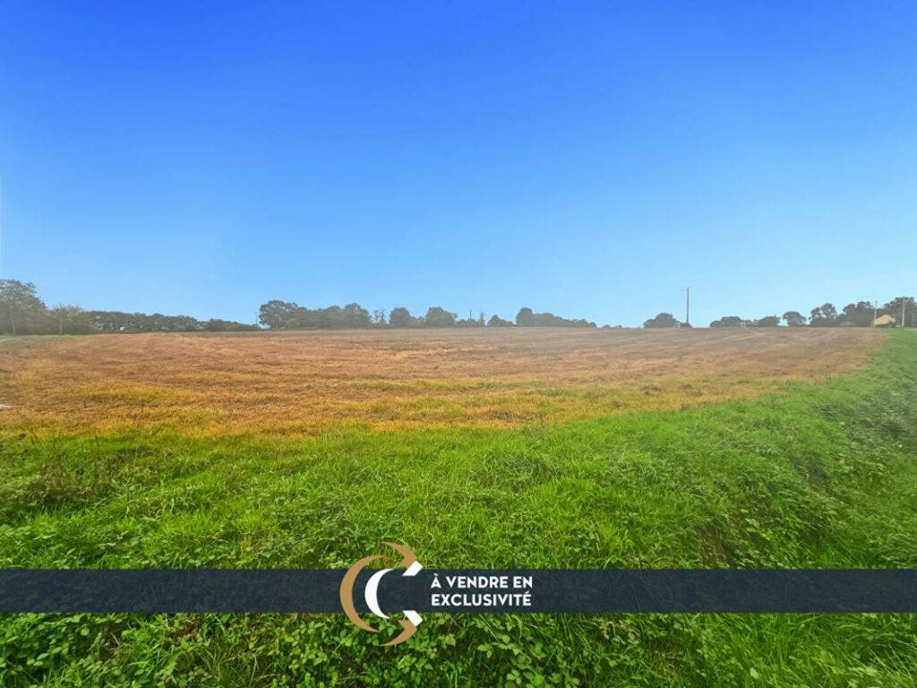 Terrain Vieux Vy Sur Couesnon 88965 m2