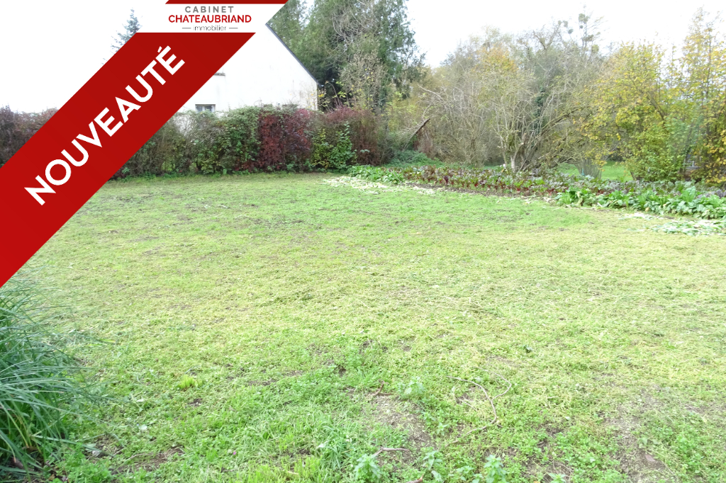 Terrain Rimou 440 m2